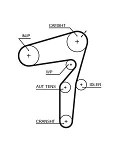 GATES 5623XS CINGHIA DENTATA
