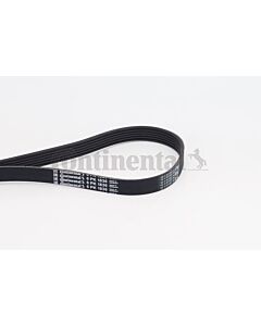 CONTINENTAL CTAM 6PK1836 CINGHIA POLY-V