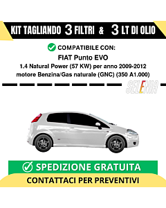 Tagliando per FIAT Punto EVO 1.4 Natural Power 57 kw - 3 Lt di Selenia + 3 Filtri anno 2009-2012