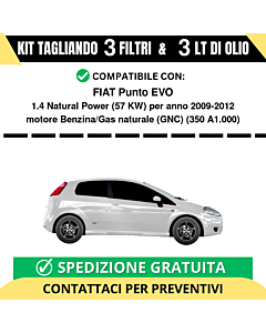 Tagliando per FIAT Punto EVO 1.4 Natural Power 57 kw Benzina/Gas naturale (GNC) 2009-2012 - 3 Lt di olio + 3 Filtri