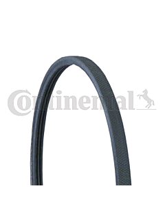 CONTINENTAL CTAM 3PJ891 CINGHIA POLY-V