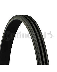 CONTINENTAL CTAM 3PK1038 CINGHIA POLY-V