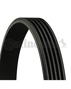 CONTINENTAL CTAM 5PK890 CINGHIA POLY-V