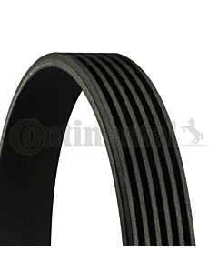 CONTINENTAL CTAM 6PK1185 CINGHIA POLY-V